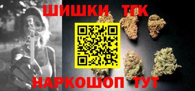 гидра Ставрополь