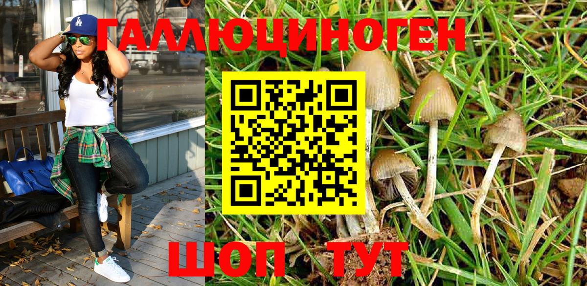 Галлюциногенные грибы Magic Shrooms Оренбург