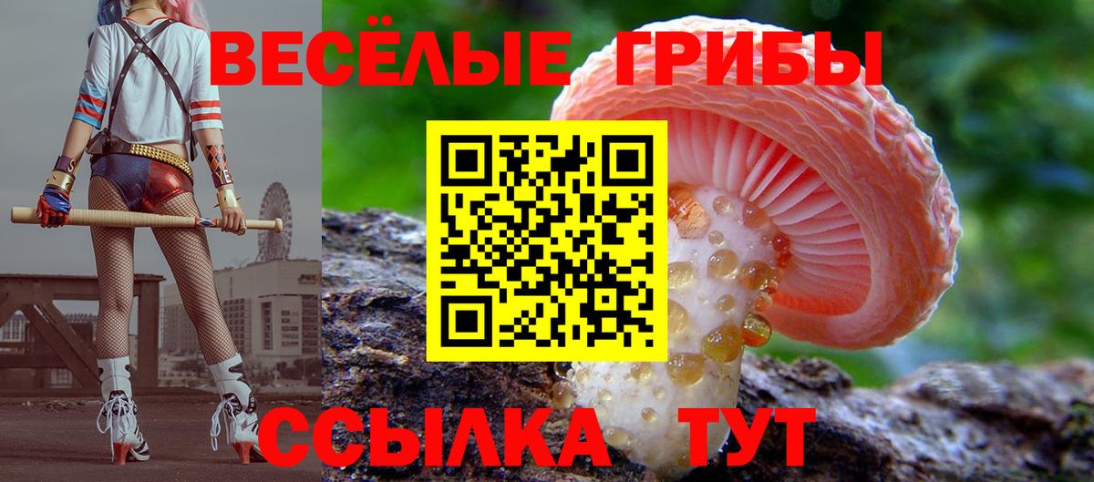 Псилоцибиновые грибы GOLDEN TEACHER  Вход с VPN  Оренбург 